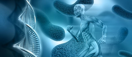 Anatomy & Physiology Subject Photo